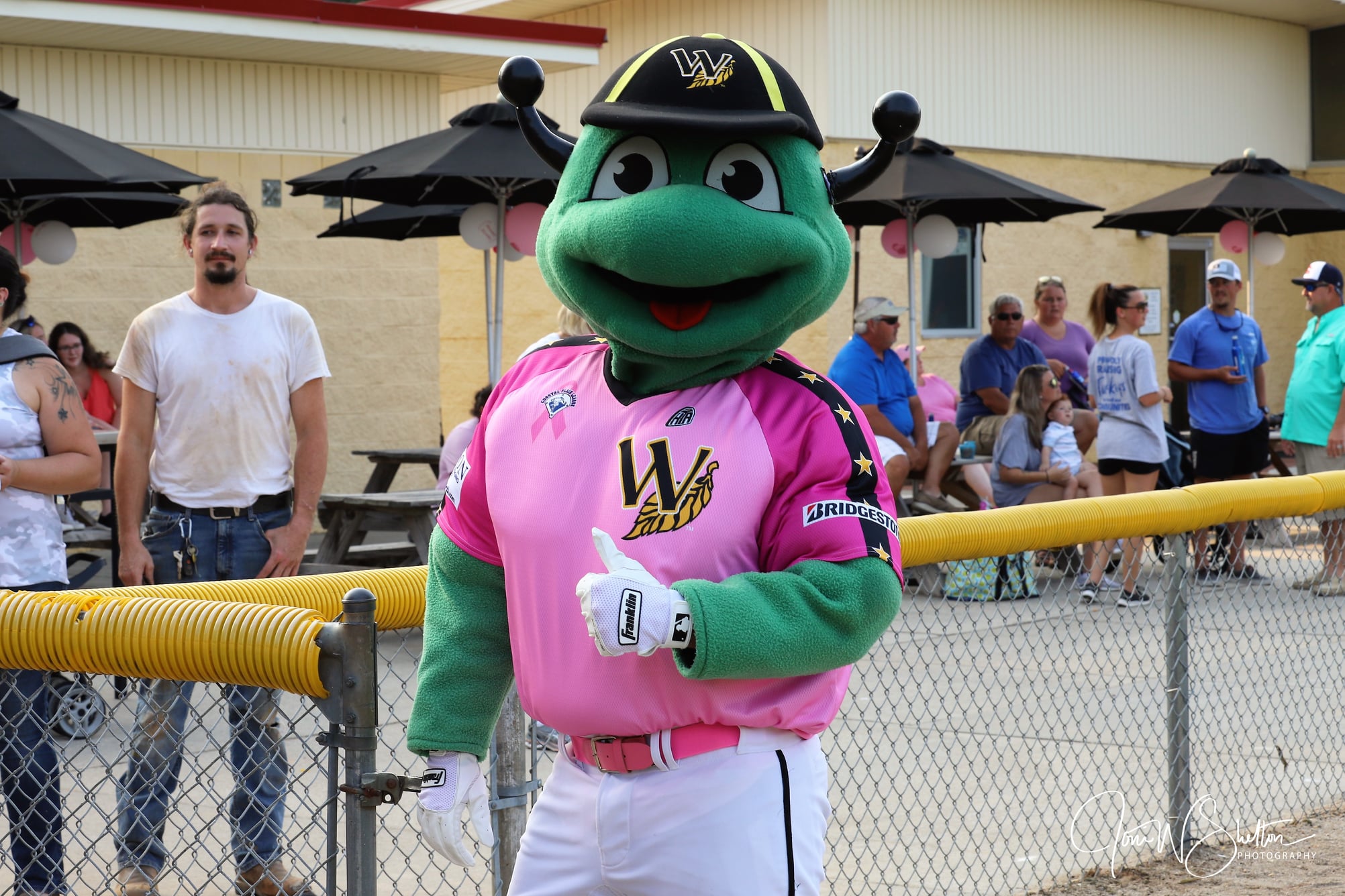 Slugger Pink Night