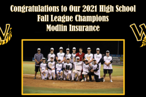 Modlin Insurance Wins Fall League Championship!