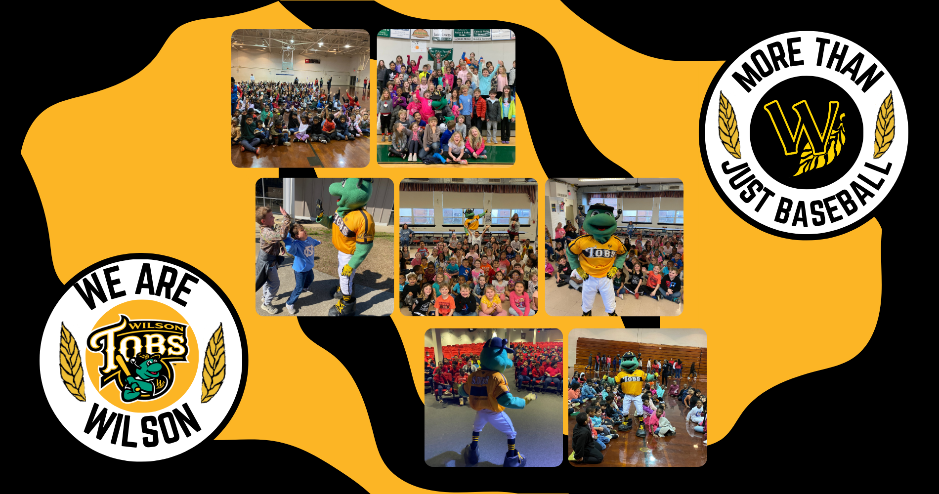 Why The Wilson Tobs Are Wilson Books & Baseball Bash Program