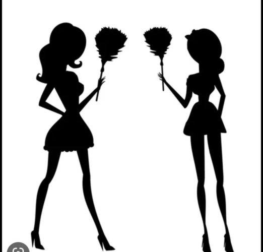 Lovely Ladies Cleaning Service