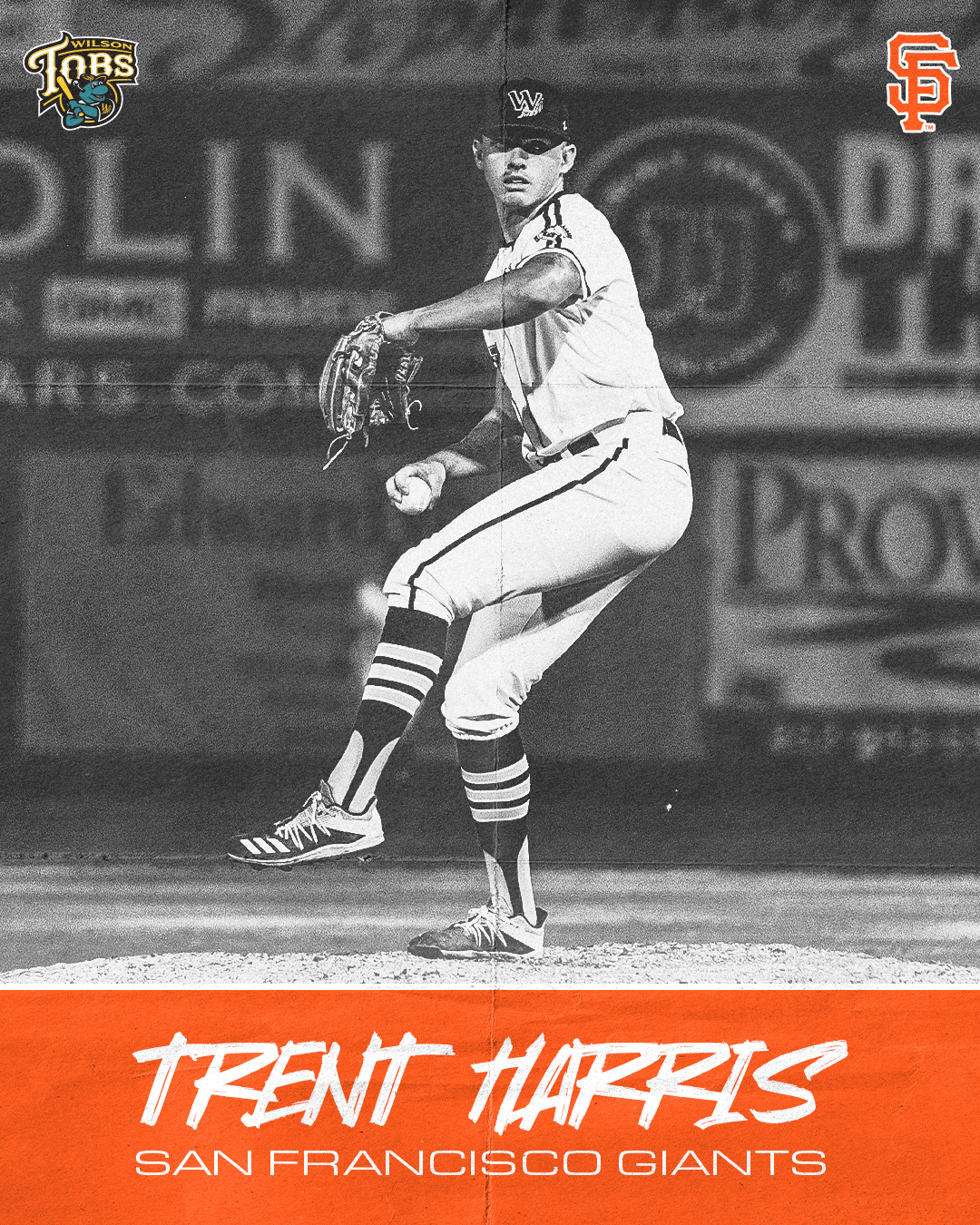 Tobs’ Trent Harris Inks Deal With San Francisco Giants