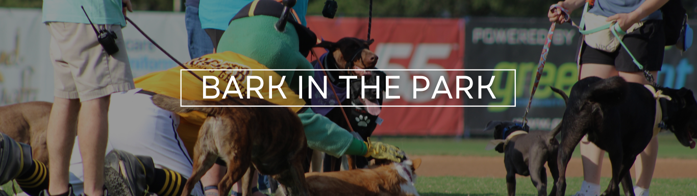 Bark in the Park