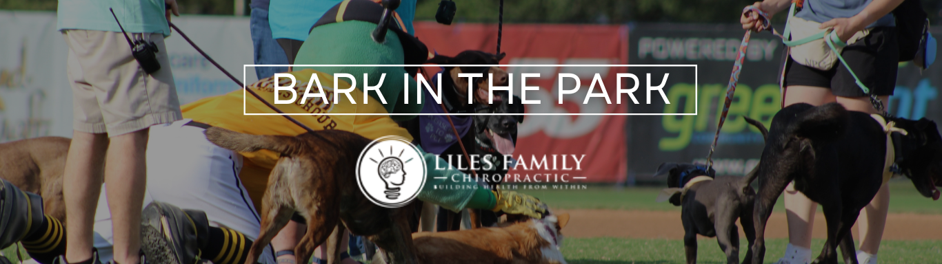 Bark in the Park