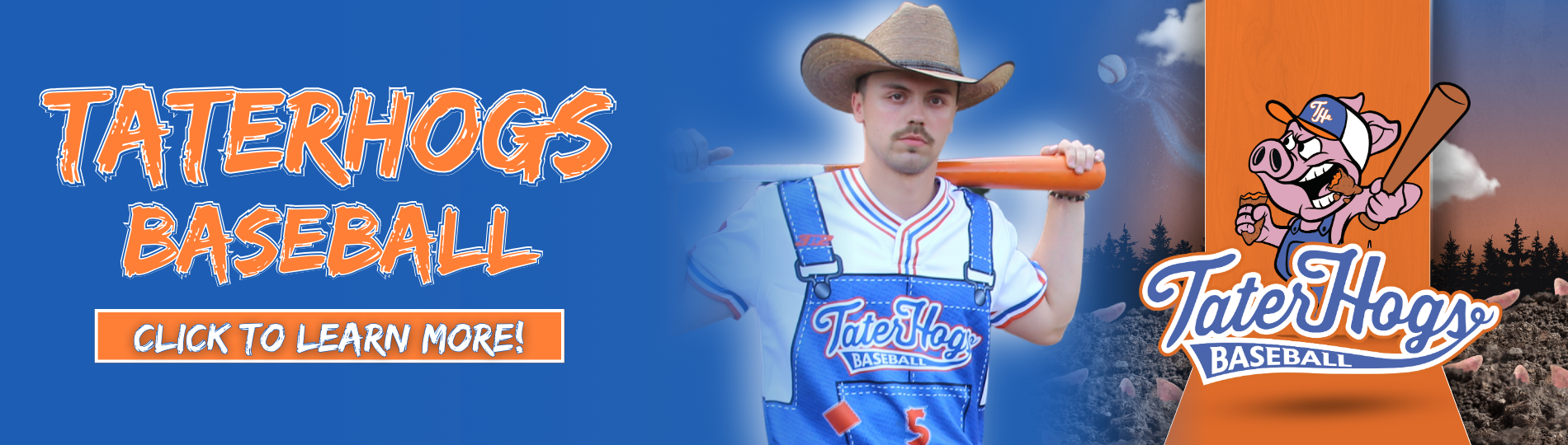 TaterHogs Baseball! Get Ready To Go Hog Wild!