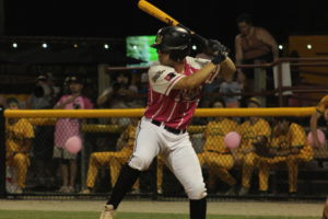 Tobs Hammer Yard Gnomes in Seven