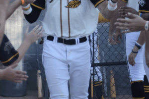 Tobs Fall on Road Against Sharks